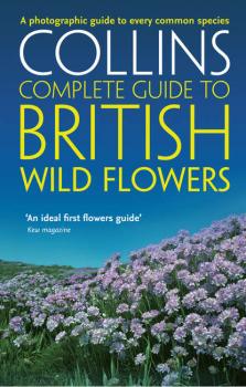 Читать British Wild Flowers: A photographic guide to every common species - Paul  Sterry