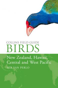 Читать Birds of New Zealand, Hawaii, Central and West Pacific - Ber Perlo van