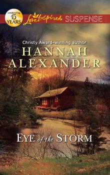 Читать Eye of the Storm - Hannah  Alexander