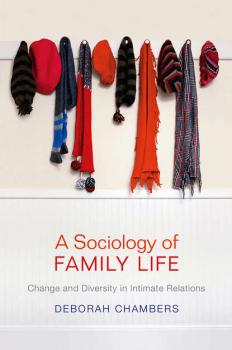 Читать A Sociology of Family Life - Deborah  Chambers