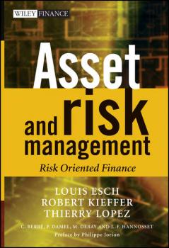 Читать Asset and Risk Management - Louis  Esch