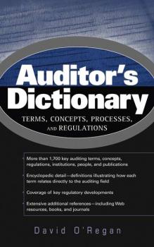 Читать Auditor's Dictionary - Группа авторов