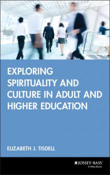 Читать Exploring Spirituality and Culture in Adult and Higher Education - Группа авторов