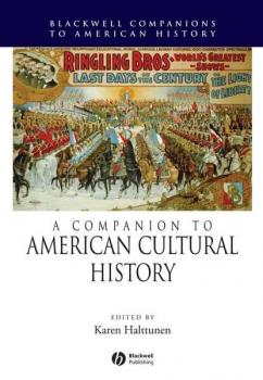 Читать A Companion to American Cultural History - Группа авторов