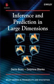 Читать Inference and Prediction in Large Dimensions - Denis  Bosq