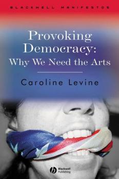 Читать Provoking Democracy - Группа авторов