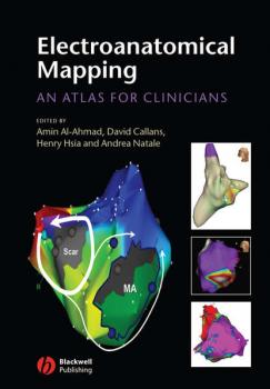 Читать Electroanatomical Mapping - Andrea  Natale
