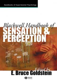 Читать The Blackwell Handbook of Sensation and Perception - Группа авторов