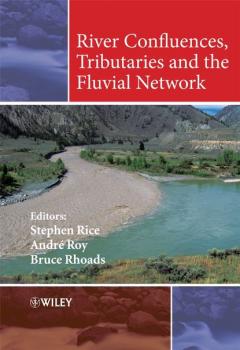 Читать River Confluences, Tributaries and the Fluvial Network - Andre  Roy