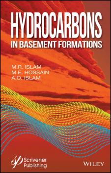 Читать Hydrocarbons in Basement Formations - M. Hossain E.