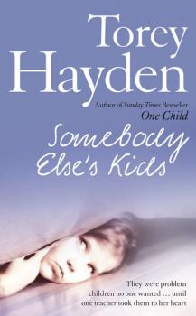 Читать Somebody Else’s Kids - Torey  Hayden