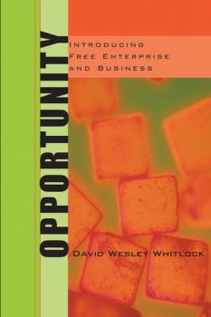 Читать Opportunity - David W. Whitlock