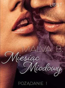 Читать Pożądanie 1: Miesiąc miodowy - opowiadanie erotyczne - Malva B.