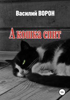 Читать А кошка спит - Василий Ворон
