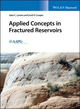 Читать Applied Concepts in Fractured Reservoirs - John C. Lorenz