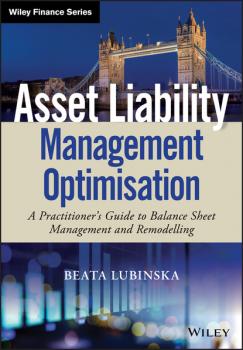 Читать Asset Liability Management Optimisation - Beata Lubinska