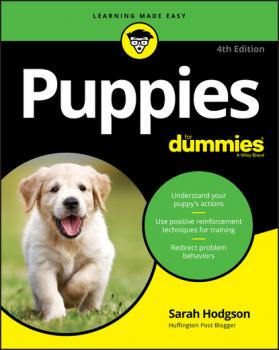 Читать Puppies For Dummies - Sarah  Hodgson