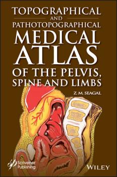 Читать Topographical and Pathotopographical Medical Atlas of the Pelvis, Spine, and Limbs - Z. M. Seagal