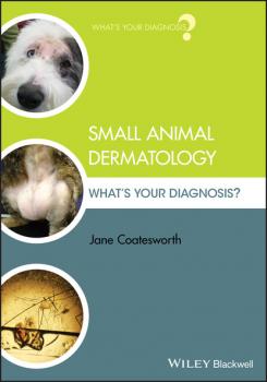 Читать Small Animal Dermatology - Jane Coatesworth
