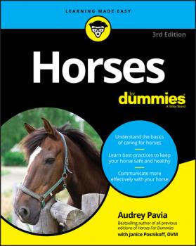 Читать Horses For Dummies - Audrey Pavia