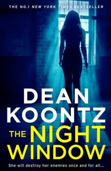 Читать The Night Window - Dean Koontz