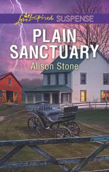 Читать Plain Sanctuary - Alison  Stone