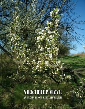 Читать Niektóre poezye Andrzeja i Piotra Zbylitowskich - Piotr Zbylitowski