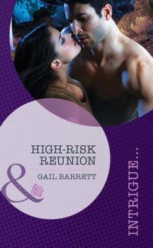 Читать High-Risk Reunion - Gail Barrett