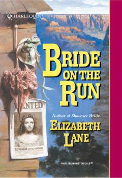 Читать Bride On The Run - Elizabeth Lane