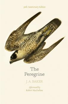 Читать The Peregrine: 50th Anniversary Edition - J. A. Baker