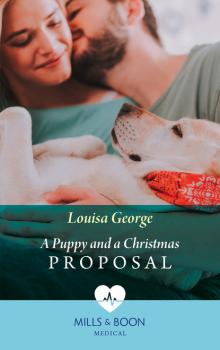 Читать A Puppy And A Christmas Proposal - Louisa George