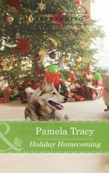 Читать Holiday Homecoming - Pamela Tracy