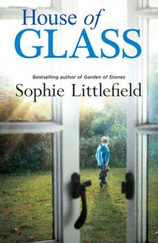 Читать House of Glass - Sophie Littlefield