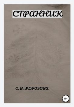 Читать Странник - Ольга Владимировна Морозова