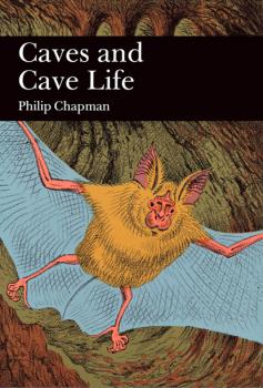 Читать Caves and Cave Life - Philip Chapman
