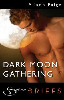 Читать Dark Moon Gathering - Alison Paige