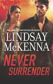 Читать Never Surrender - Lindsay McKenna