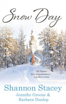 Читать Snow Day - Barbara Dunlop