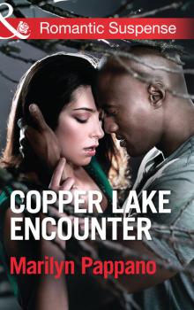 Читать Copper Lake Encounter - Marilyn Pappano