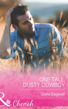 Читать One Tall, Dusty Cowboy - Stella Bagwell