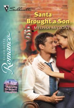 Читать Santa Brought A Son - Melissa Mcclone