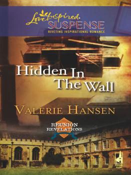 Читать Hidden in the Wall - Valerie  Hansen