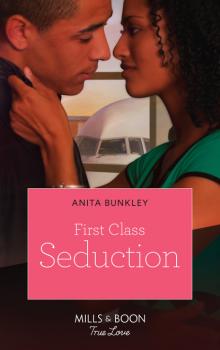 Читать First Class Seduction - Anita Bunkley