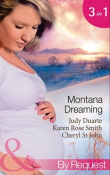 Читать Montana Dreaming - Karen Rose Smith