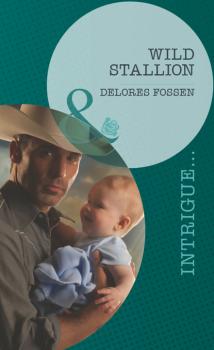 Читать Wild Stallion - Delores Fossen