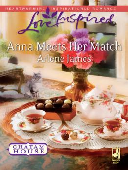 Читать Anna Meets Her Match - Arlene James