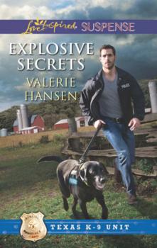 Читать Explosive Secrets - Valerie  Hansen