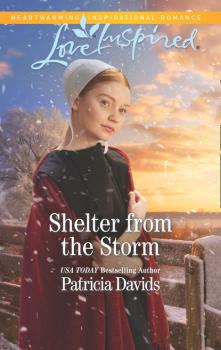 Читать Shelter From The Storm - Patricia Davids