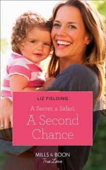 Читать A Secret, A Safari, A Second Chance - Liz Fielding