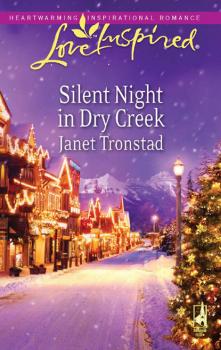 Читать Silent Night in Dry Creek - Janet Tronstad
